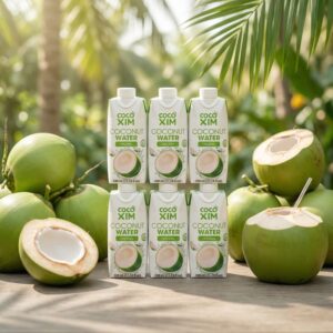 Coconut Water – Natural & Refreshing Hydration Drink
